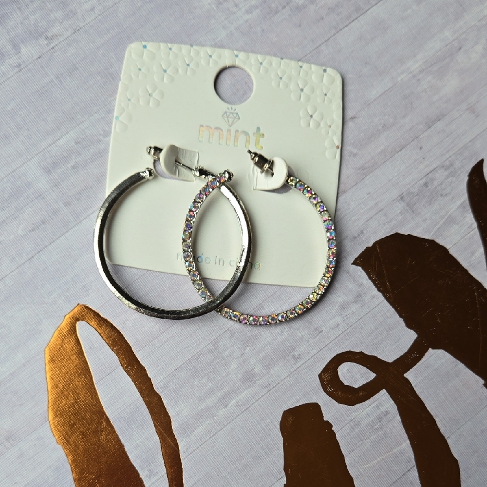 Mint Silver Hoop Earrings with Colorful Accents